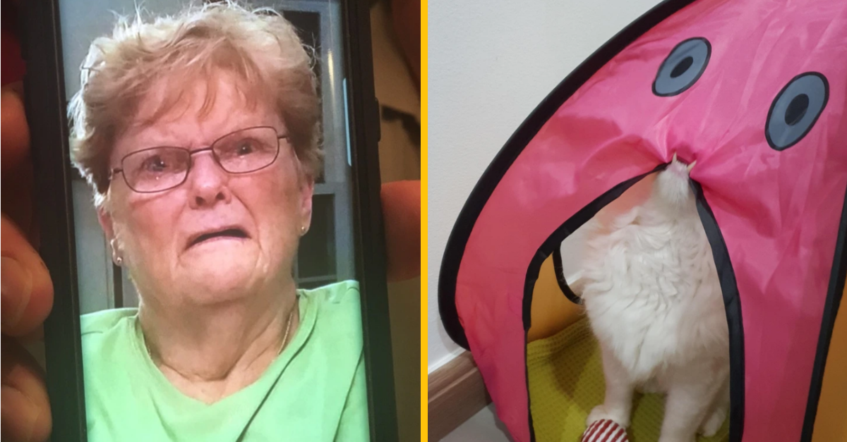 15 fotografií, ktoré sú tak vtipné, že by si zaslúžili trofej