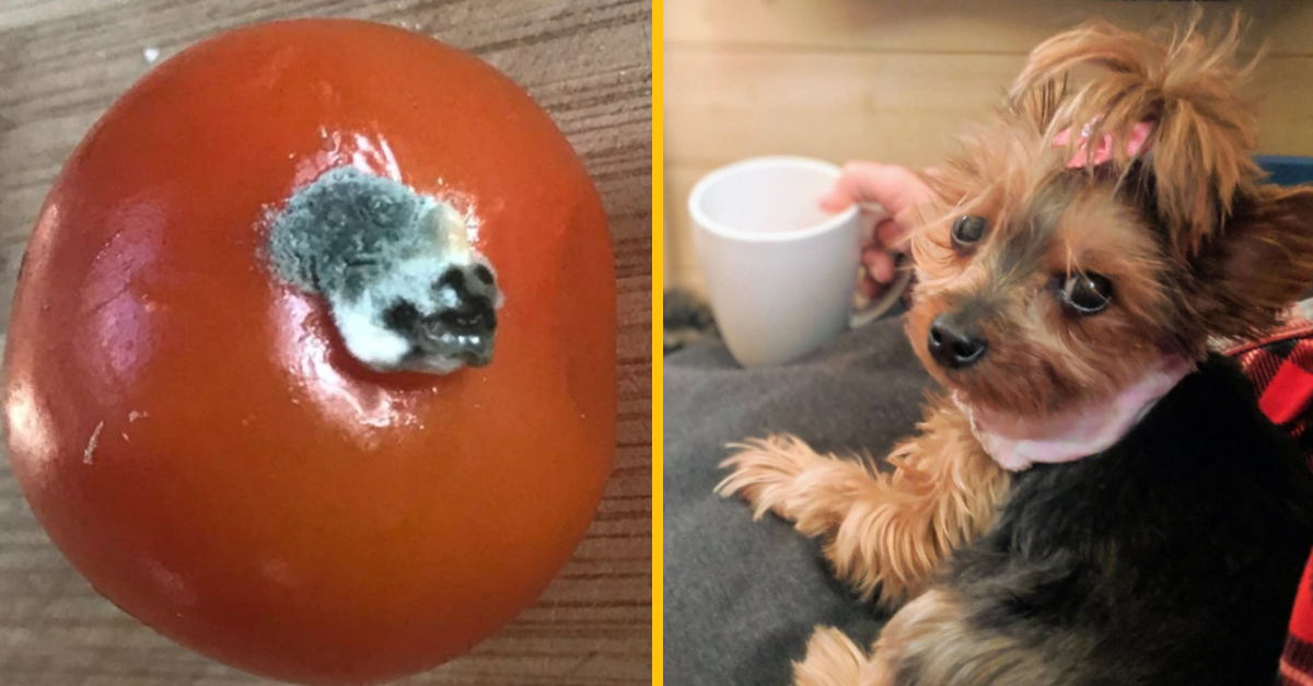 10 mätúcich fotografií, ktoré vás donútia pochybovať o vlastnom zraku