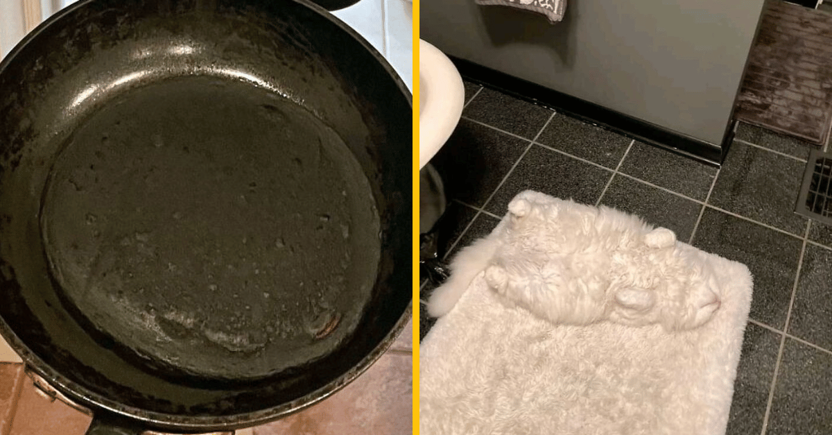 10 dych vyrážajúcich prípadov, keď objekty dokonale splynuli so svojím okolím