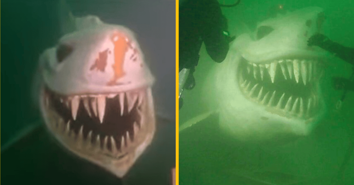 20-metrový žralok na dne jazera v Švajčiarsku desí ľudí