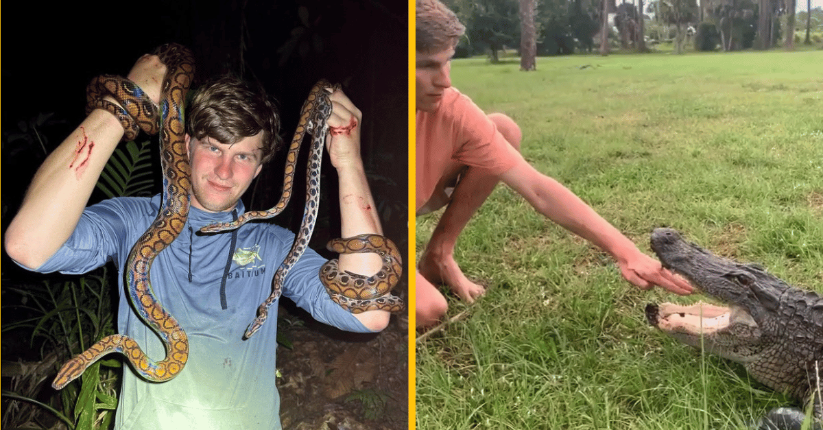 Mladík zasvätil svoj život hľadaniu 6-metrového pytóna v pralesoch