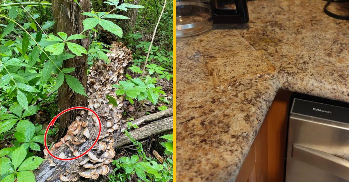 Fotografie, ktorými nás život vyzval k skutočnému tréningu pre oči