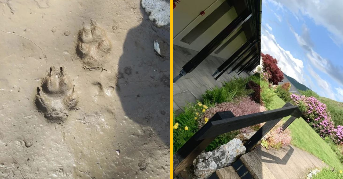 Fotografie, ktoré otestujú ostrosť vašich očí