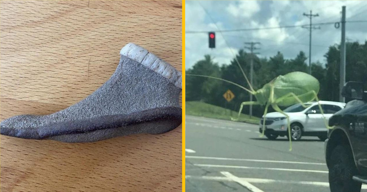 Klamlivé fotografie, pri ktorých váš mozog bude potrebovať nejaký čas na ich spracovanie