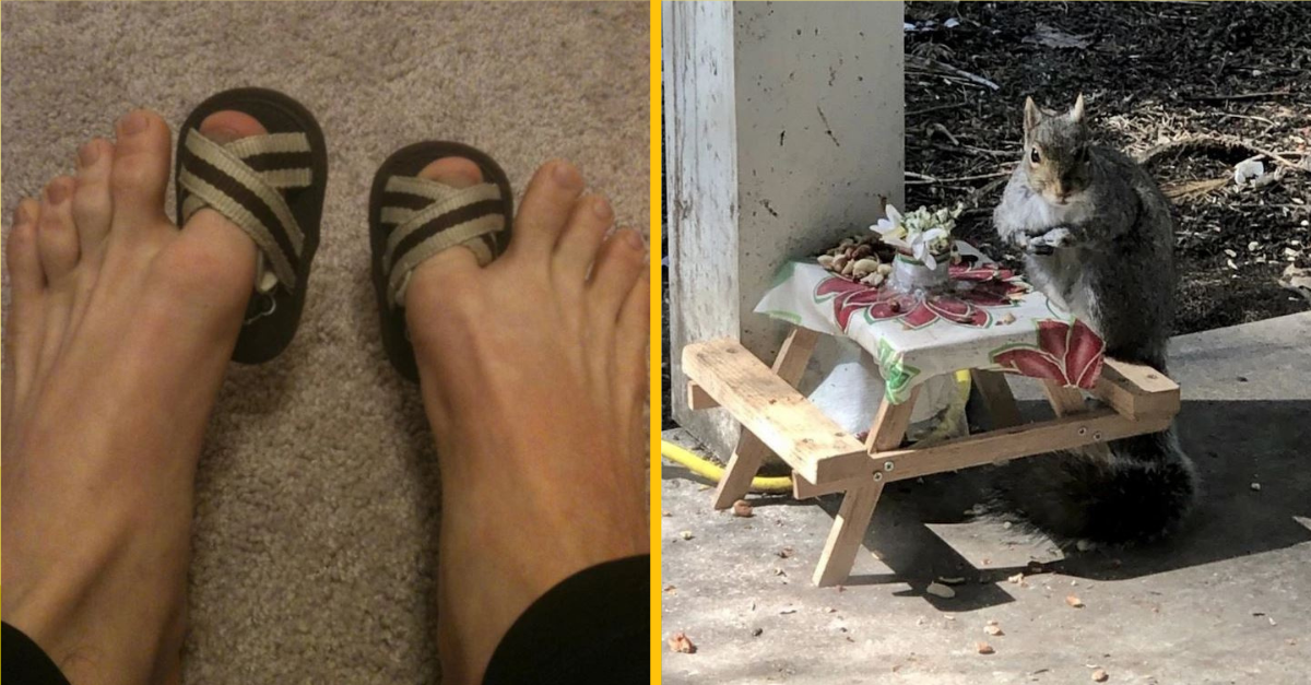 Fotografie, ktoré sú sladšie ako med