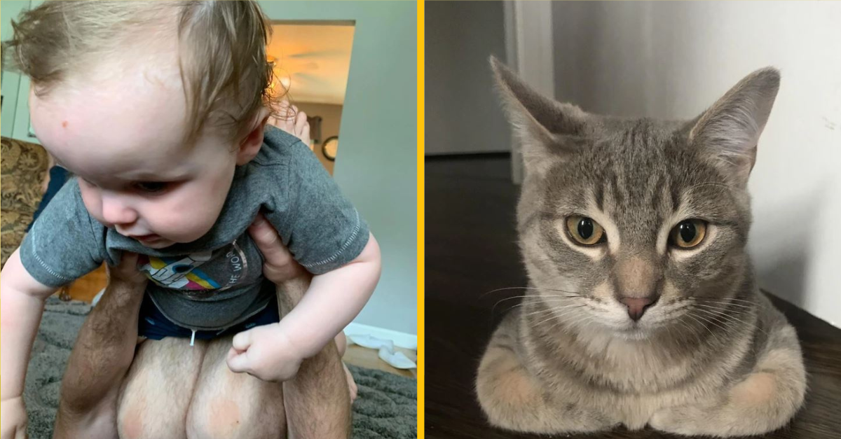 Fotografie, ktoré otestujú vaše detektívne schopnosti