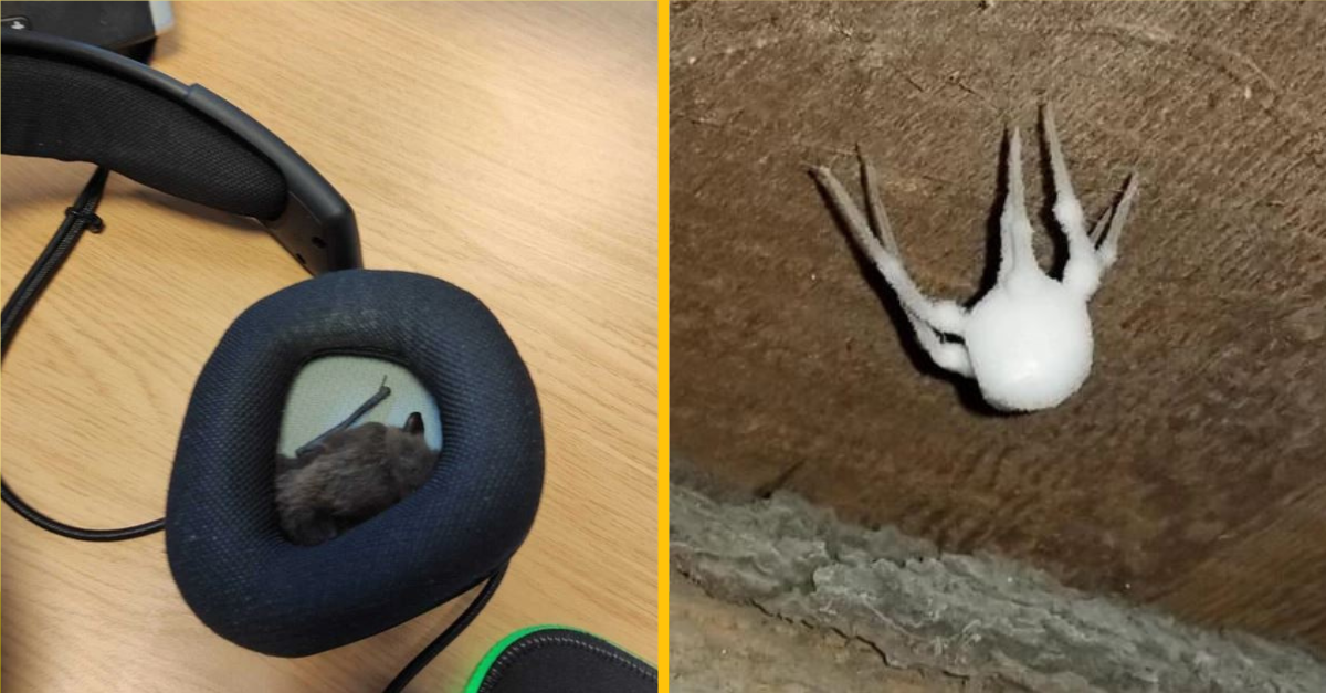 Fotografie zvláštnych vecí, ktoré vzbudia vašu pozornosť