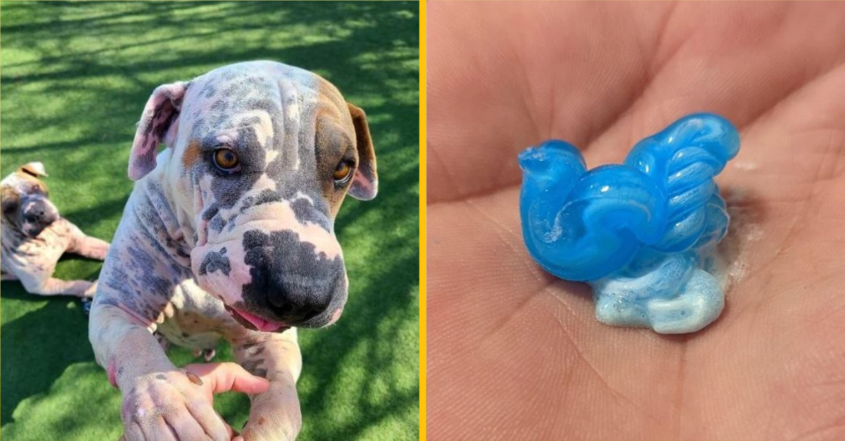 Mätúce fotografie, na ktoré sa budete musieť pozrieť ešte raz