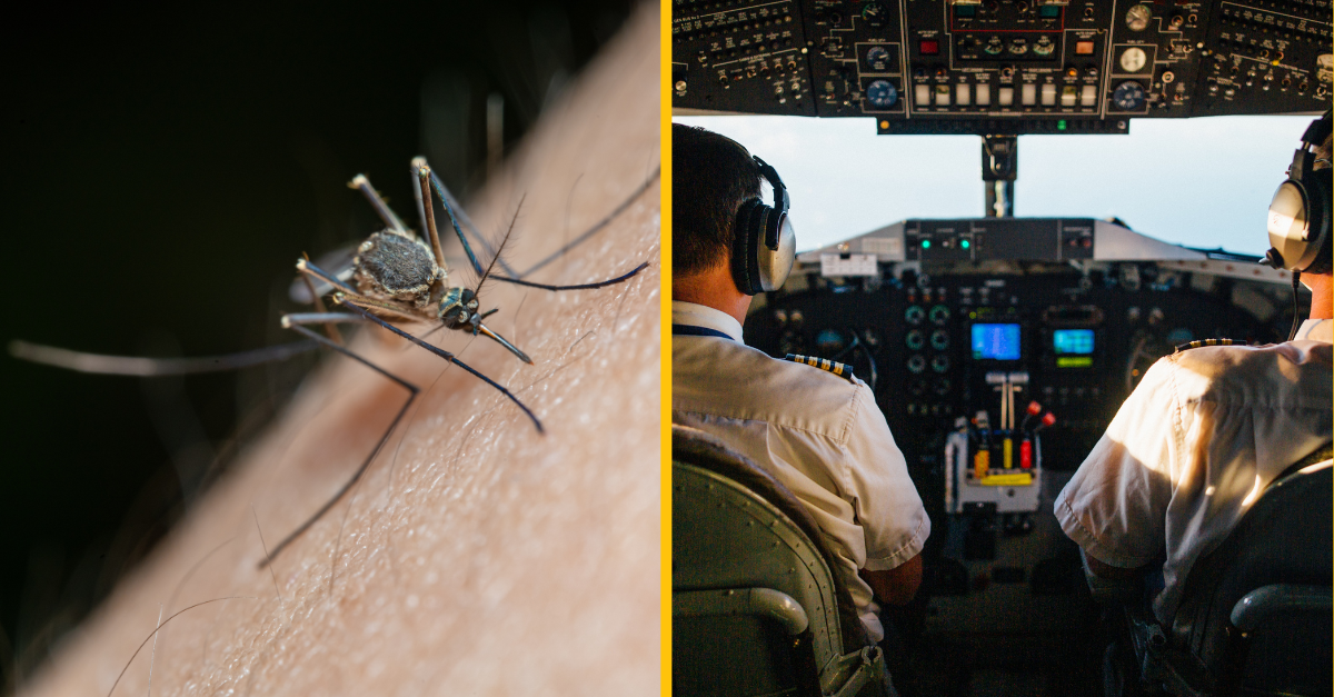 Pilot spôsobil viac ako 5-hodinové meškanie lietadla kvôli jednému komárovi