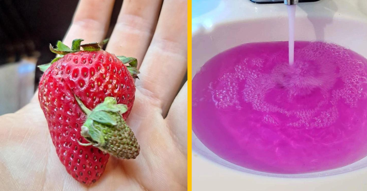 15 ľudí, ktorí vo svojom okolí objavili hotové poklady