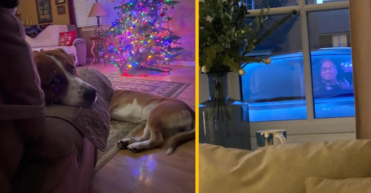 12 fotiek, ktoré si budete musieť pozrieť aspoň dvakrát