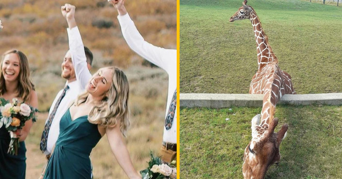 15 fotiek, ktoré dokážu potrápiť nejednú myseľ