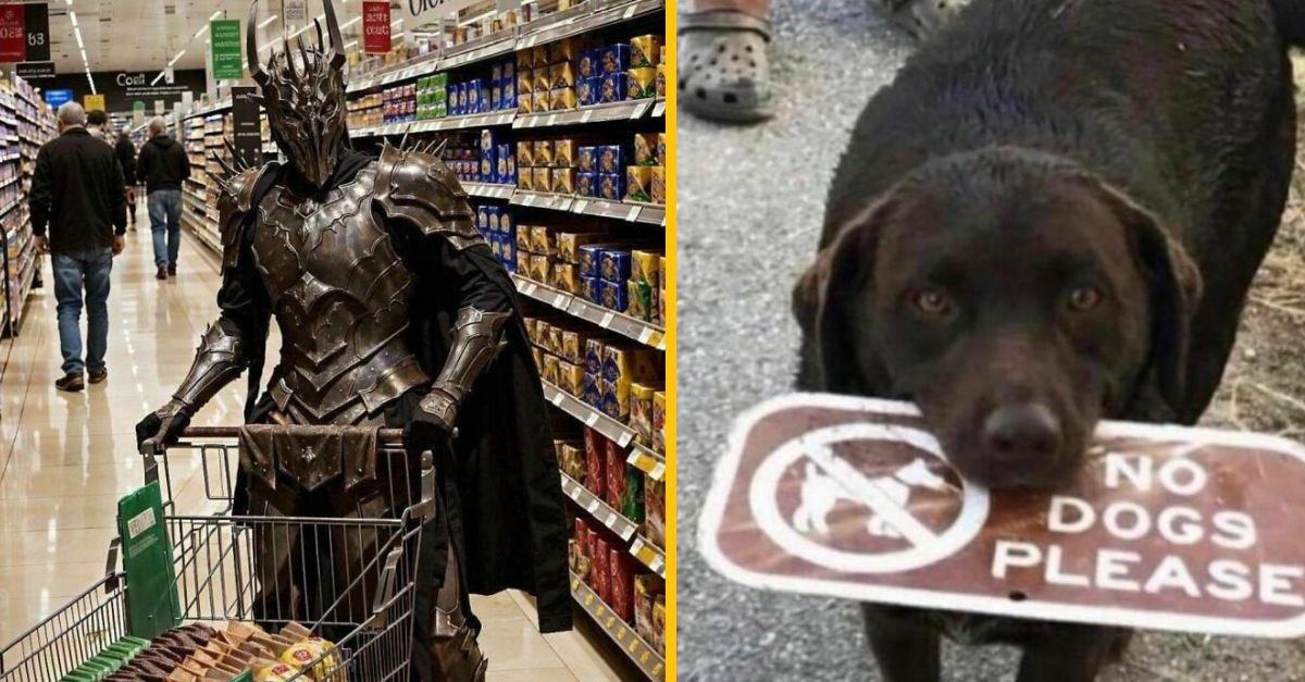 14 zábavných fotiek z internetu (2. časť)