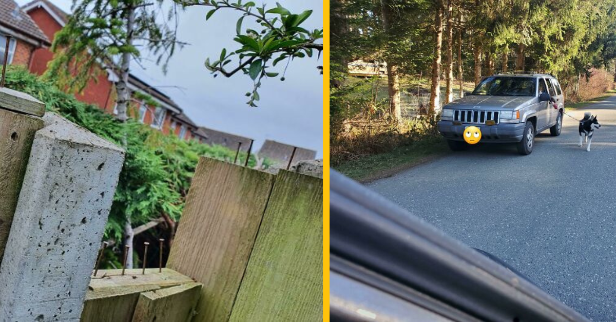 18 ľudí, ktorí majú za susedov šialencov