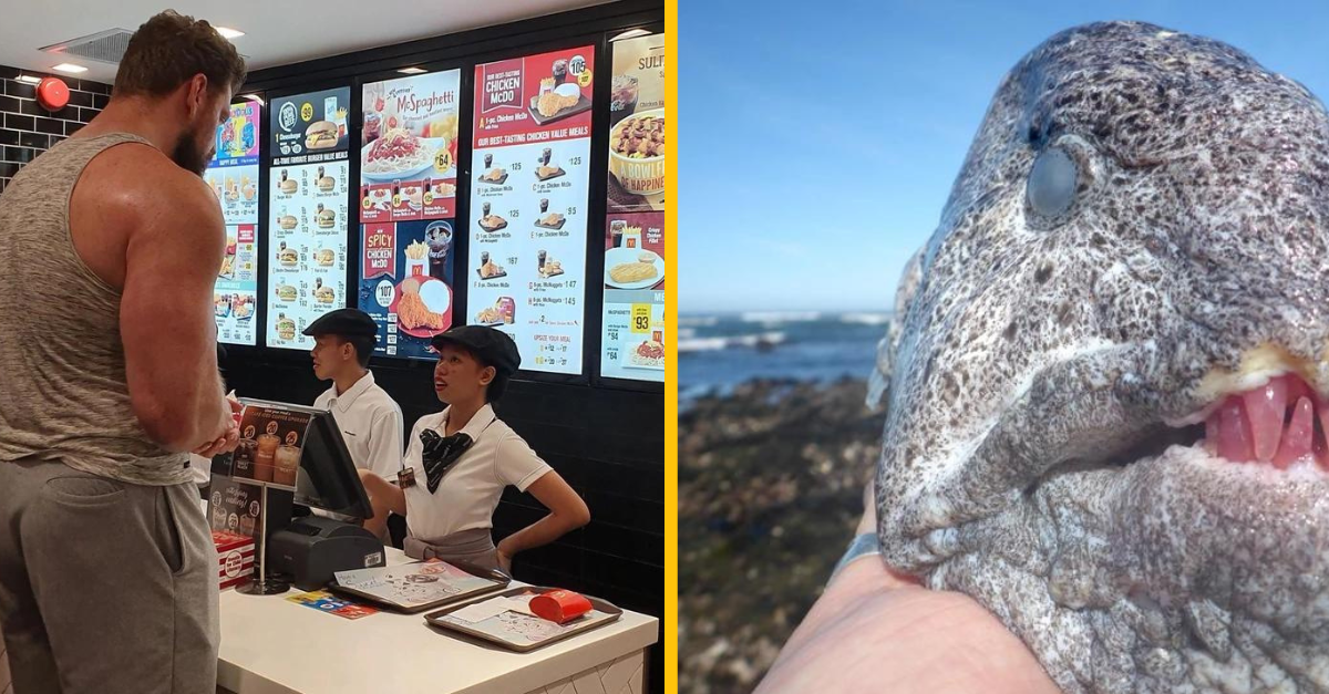 12 vecí, ktoré ste pravdepodobne ešte nikdy nevideli