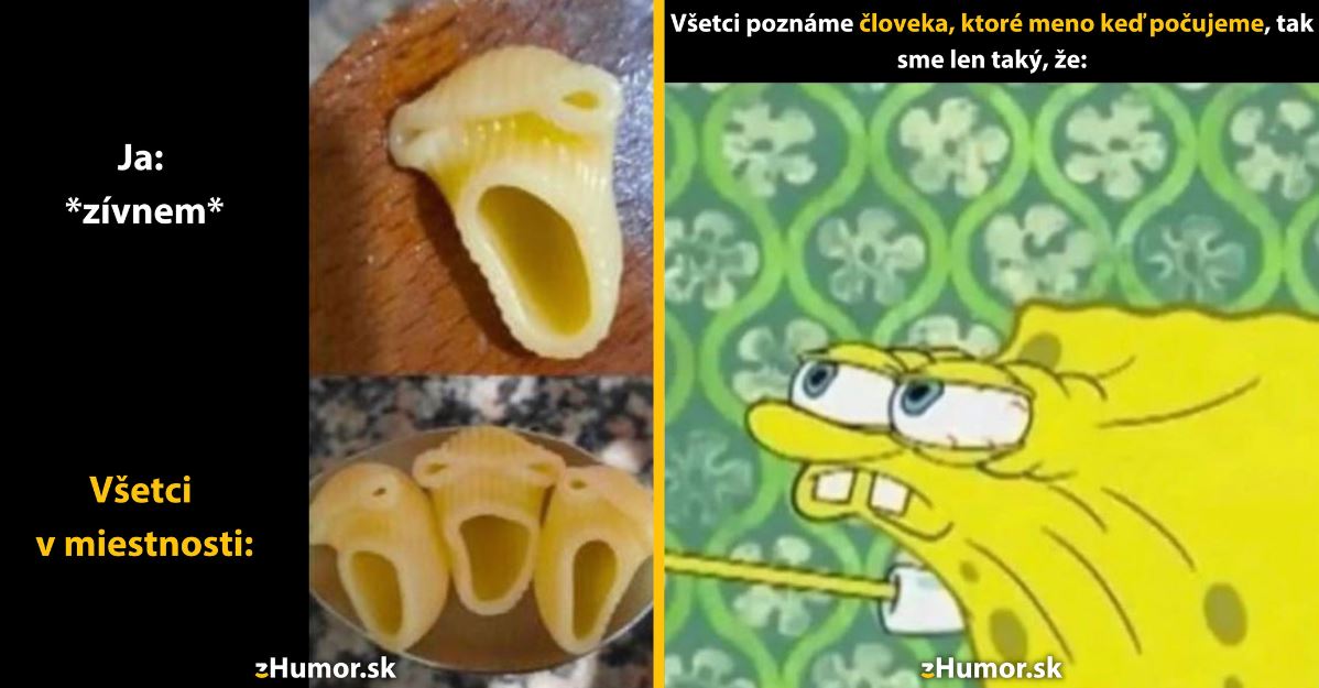 Zopár memečiek, ktoré vznikli, aby ti spríjemnili deň #1356: Prečo po mne opakujete?