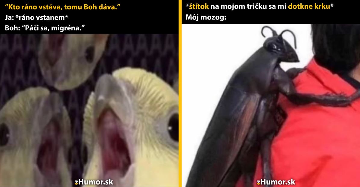Zopár memečiek, ktoré vznikli, aby ti spríjemnili deň #1349: Nech sa páči, jedna migréna pre teba.