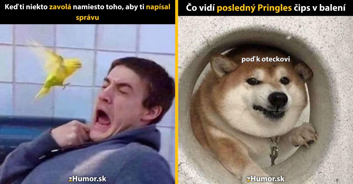 Zopár memečiek, ktoré vznikli, aby ti spríjemnili deň #1352: Prečo mi toto robíš?