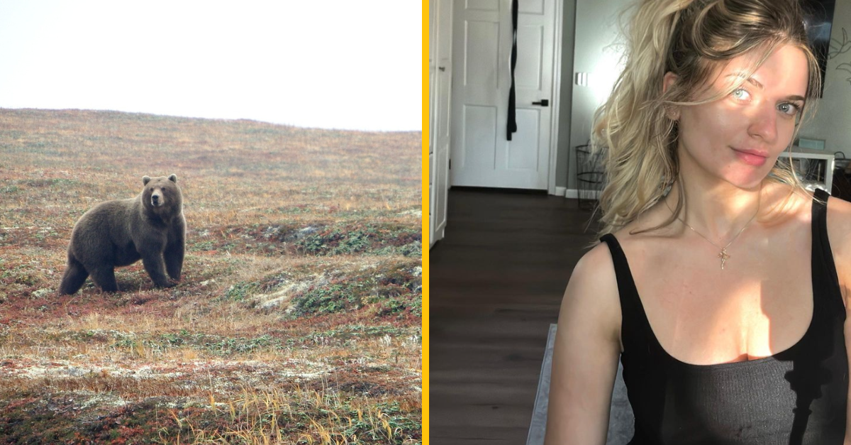 Medveď sa vkradol do domu v Connecticute a ukradol z mrazničky lasagne