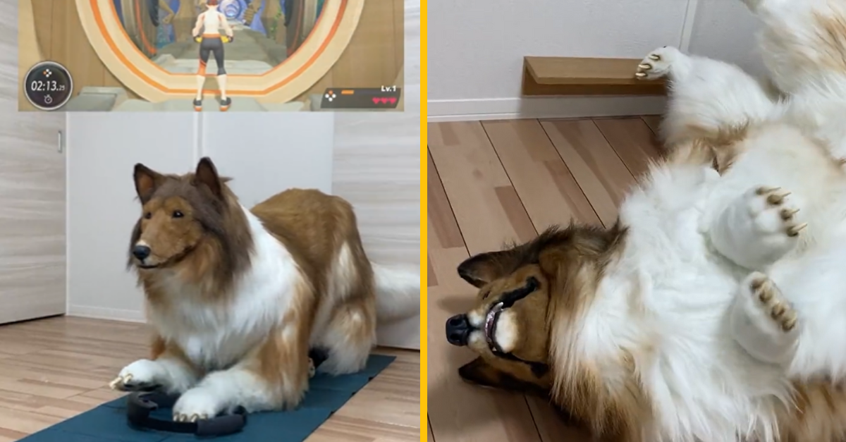 Muž, ktorý minul viac ako 10 tisíc na kostým kólie, ukázal, ako hrá Nintendo