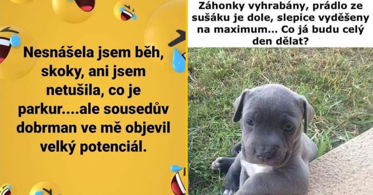 20+ Obrázkov: Všetko vtipné z internetu! #352 – vtipný inzerát, kde si pilčík hľadá ženu