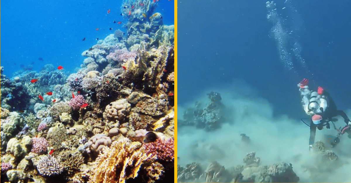 Neuveriteľné zábery, zachytávajúce zemetrasenie pod vodou – toto zažiť nechcete