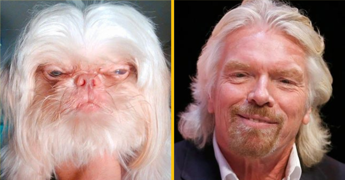 18 zvierat, ktoré vyzerajú presne ako celebrity