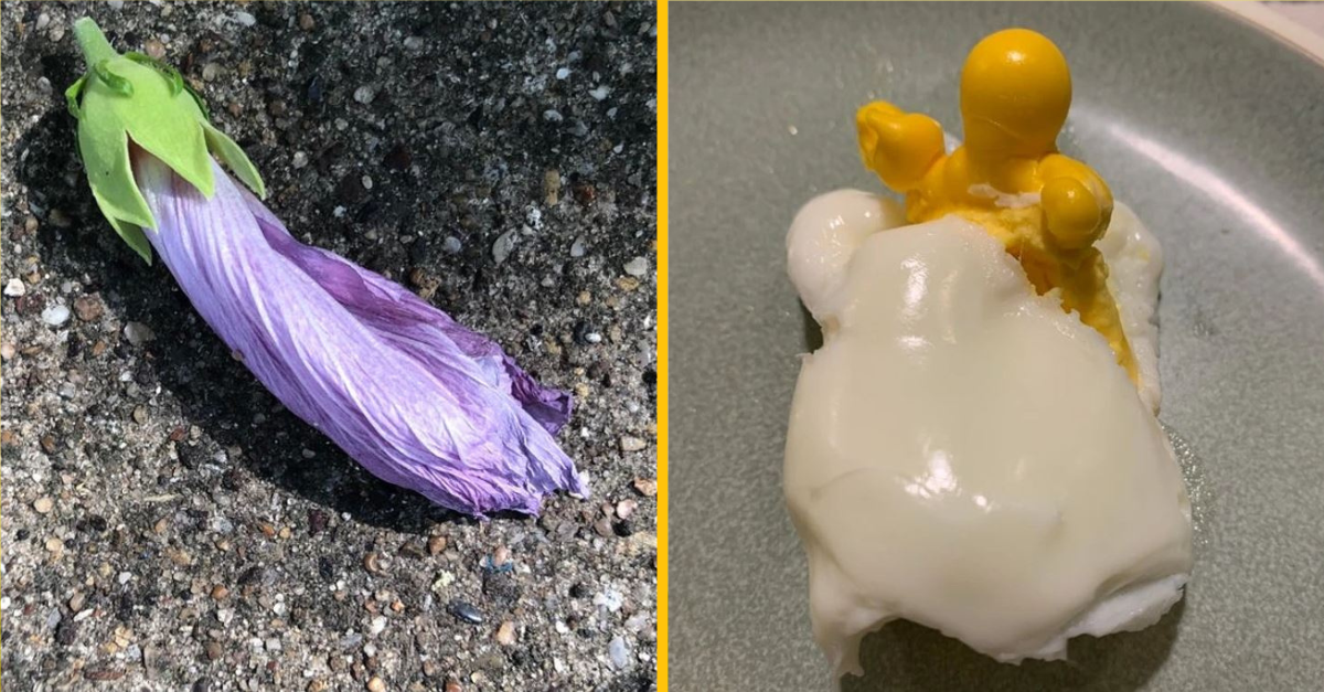 Fotografie, ktoré ukazujú, že nie všetko je také, ako sa zdá