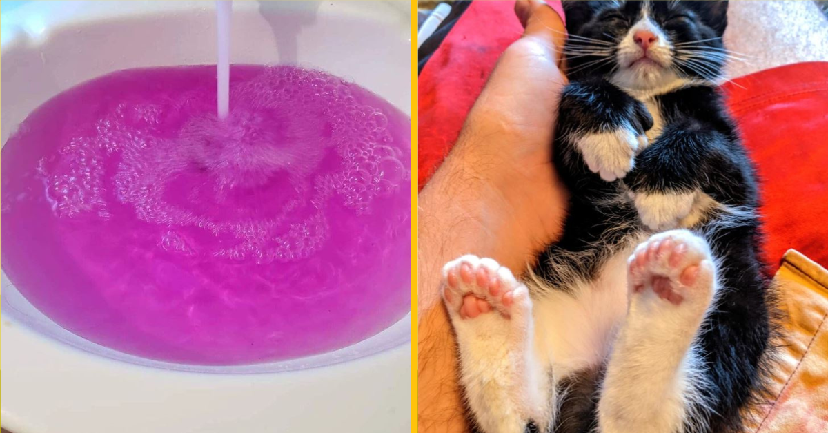 Fotografie úžasných objavov, ktoré boli viac ako neočakávané