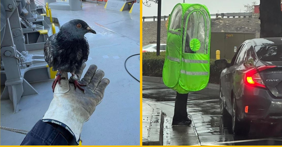 Fotografie neobyčajných situácii, ktoré ozvláštnili obyčajný deň