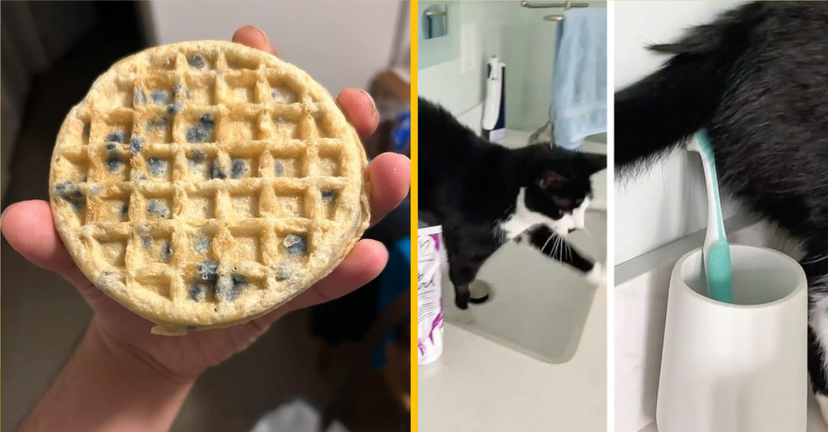 15 ľudí, ktorí by na únik pred nešťastím potrebovali viac ako kúzlo