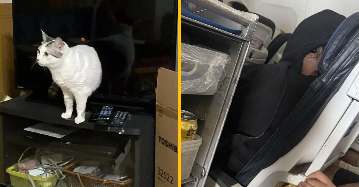 Fotografie, na ktoré sa už nikdy nebudete pozerať rovnako