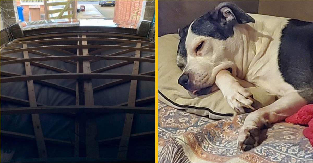 Mätúce fotografie, ktoré sú ako hádanky prosiace o vyriešenie