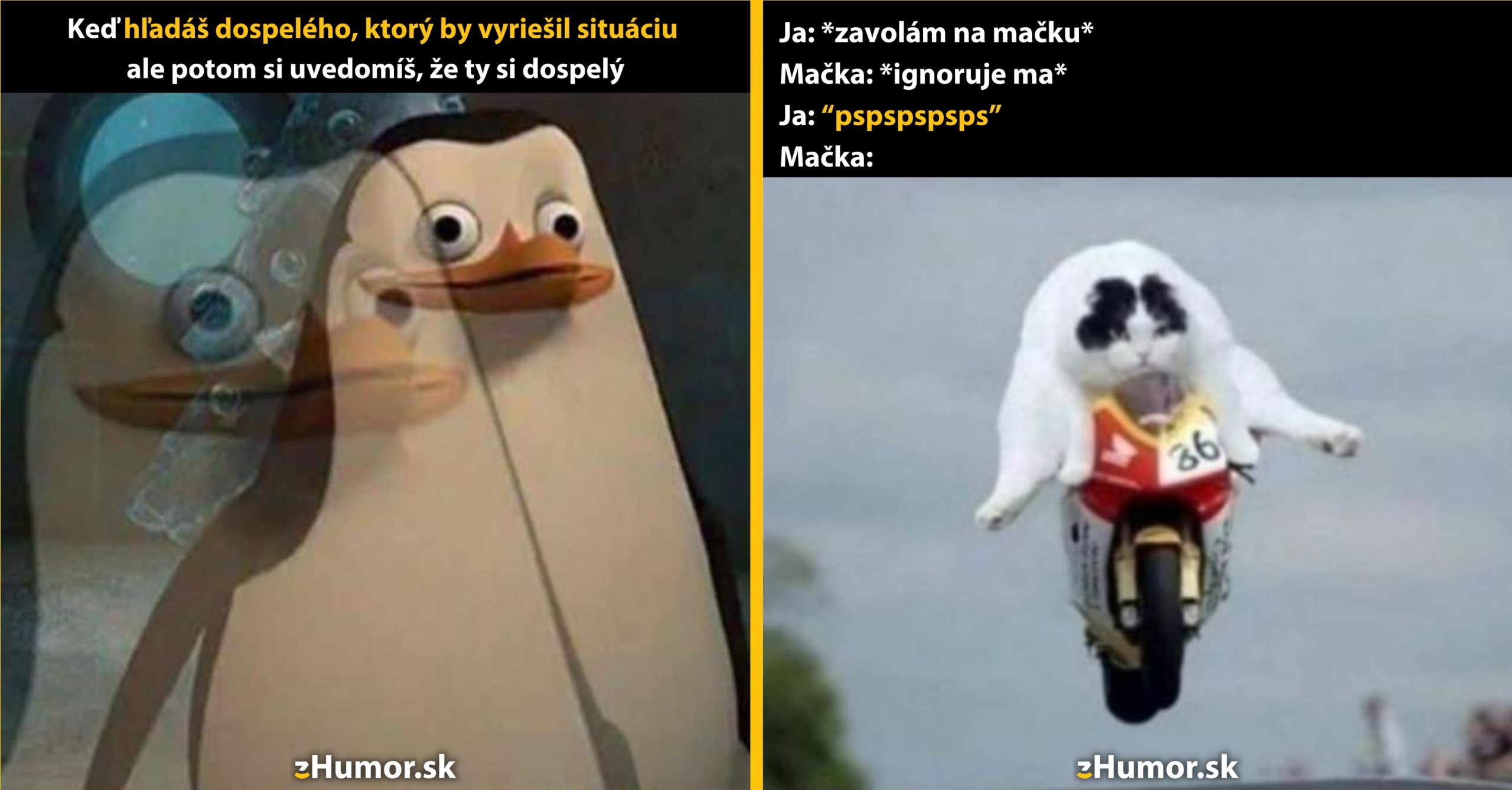 Zopár memečiek, ktoré vznikli, aby ti spríjemnili deň #1366: Asi to budem ja.