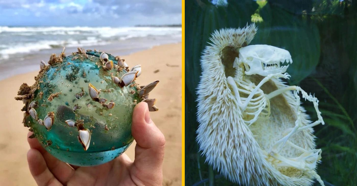 15 skutočných pokladov, ktoré sa podarilo ľuďom nájsť