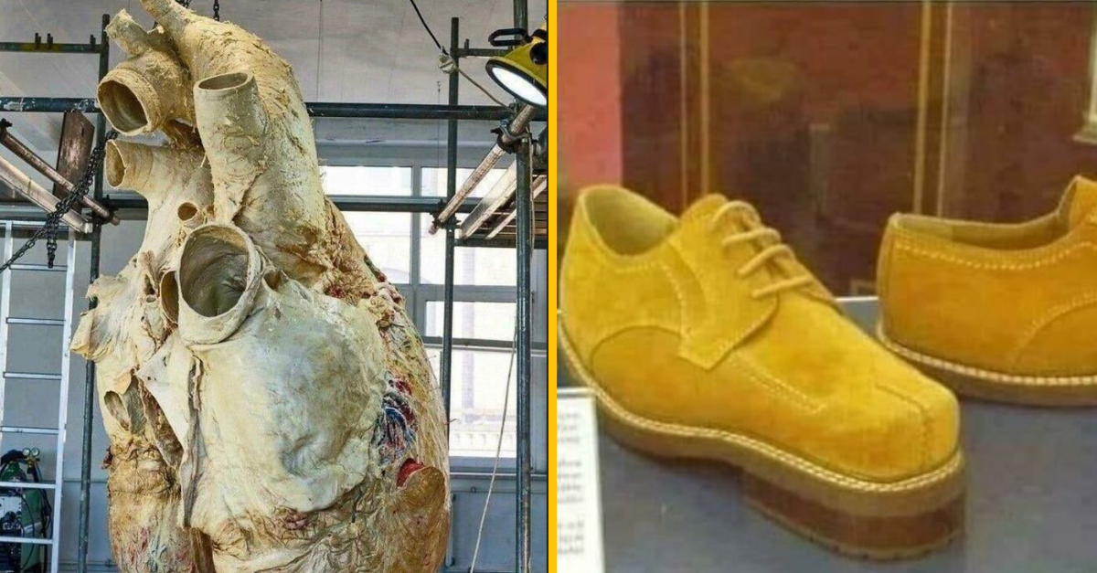 18 tých najzaujímavejších vecí, aké dnes uvidíte #2