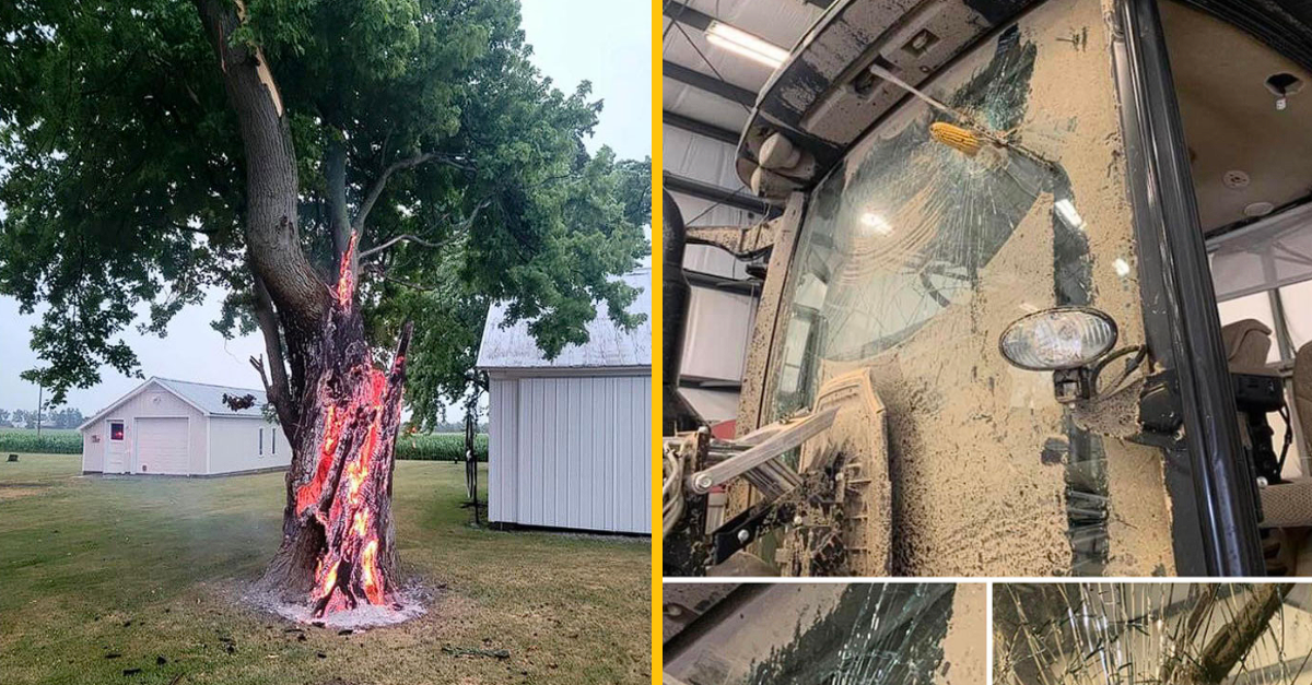 10 fotografií, ktoré ukazujú, že príroda je naozaj mocná (2. časť)