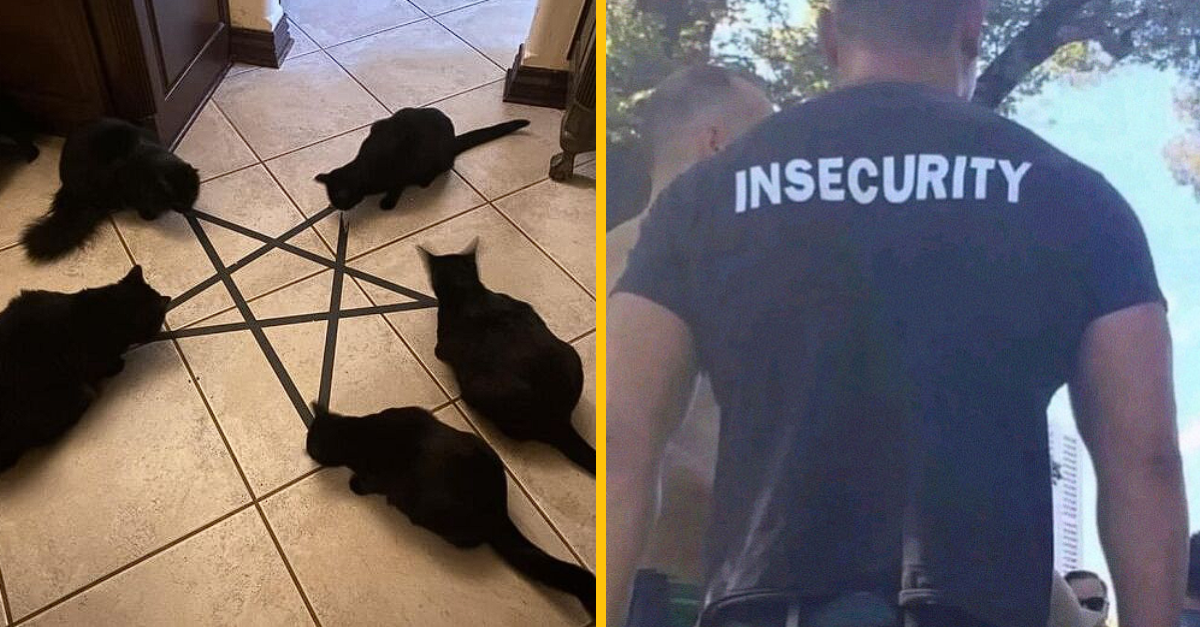 10 fotografií, ktoré nepotrebujú kontext na to, aby boli vtipné (1. časť)