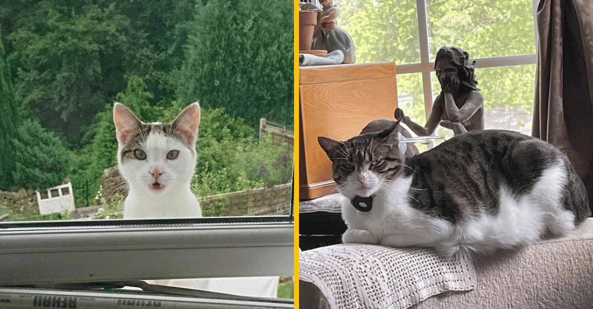 10 vtipných fotografií zvierat, ktorých tváre povedia viac než tisíc slov