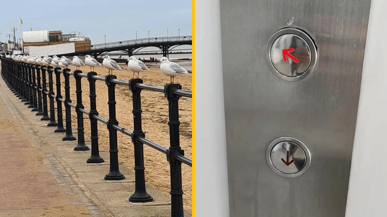 10 situácií, ktoré sa vymykajú ľudskému chápaniu