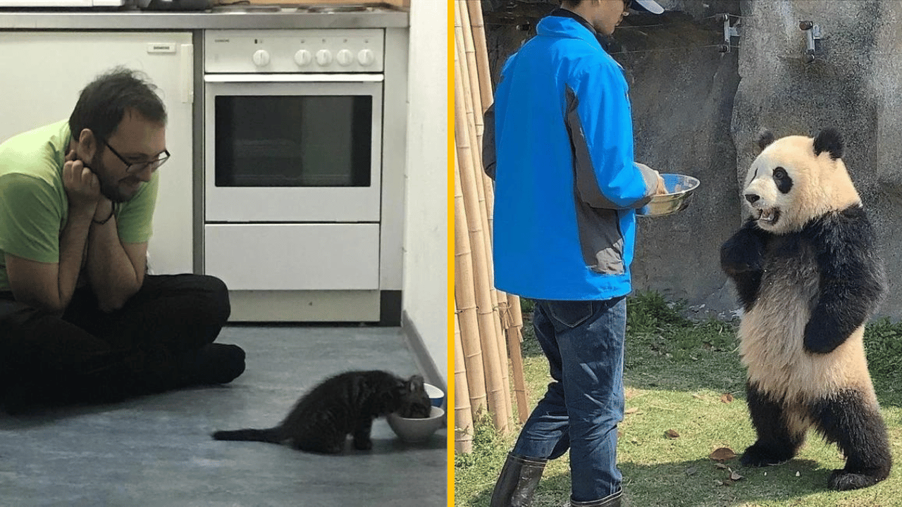 10 nezabudnuteľných zážitkov, ktoré ti pripomenú krásu života