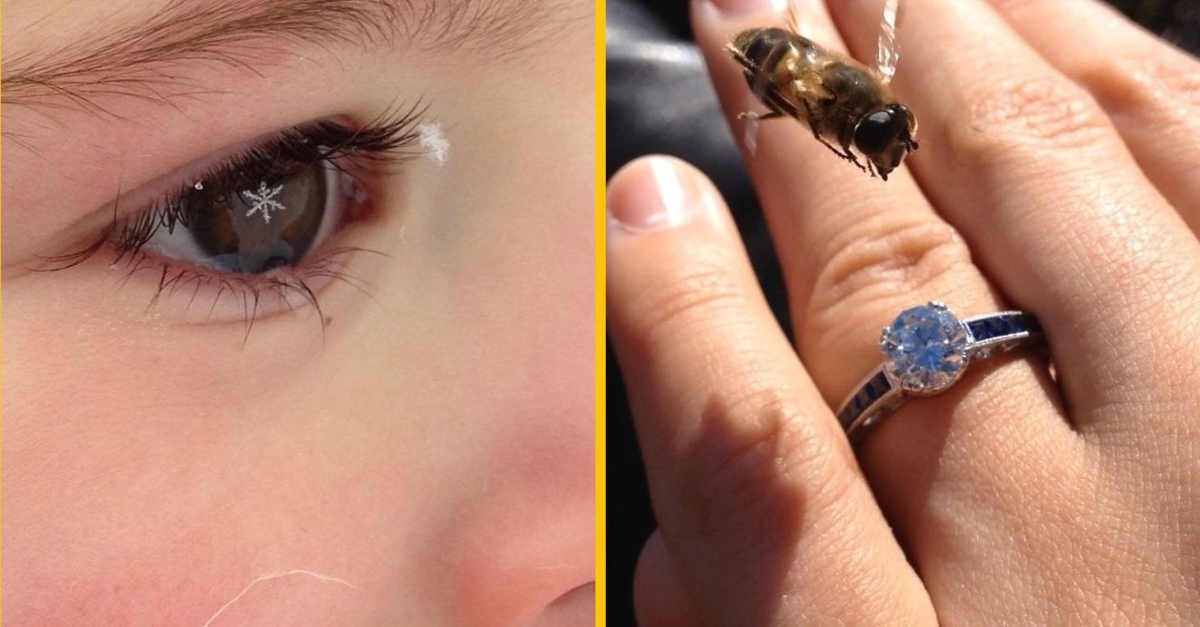 Títo ľudia k svojmu dňu dostali ako bonus zábavný zvrat