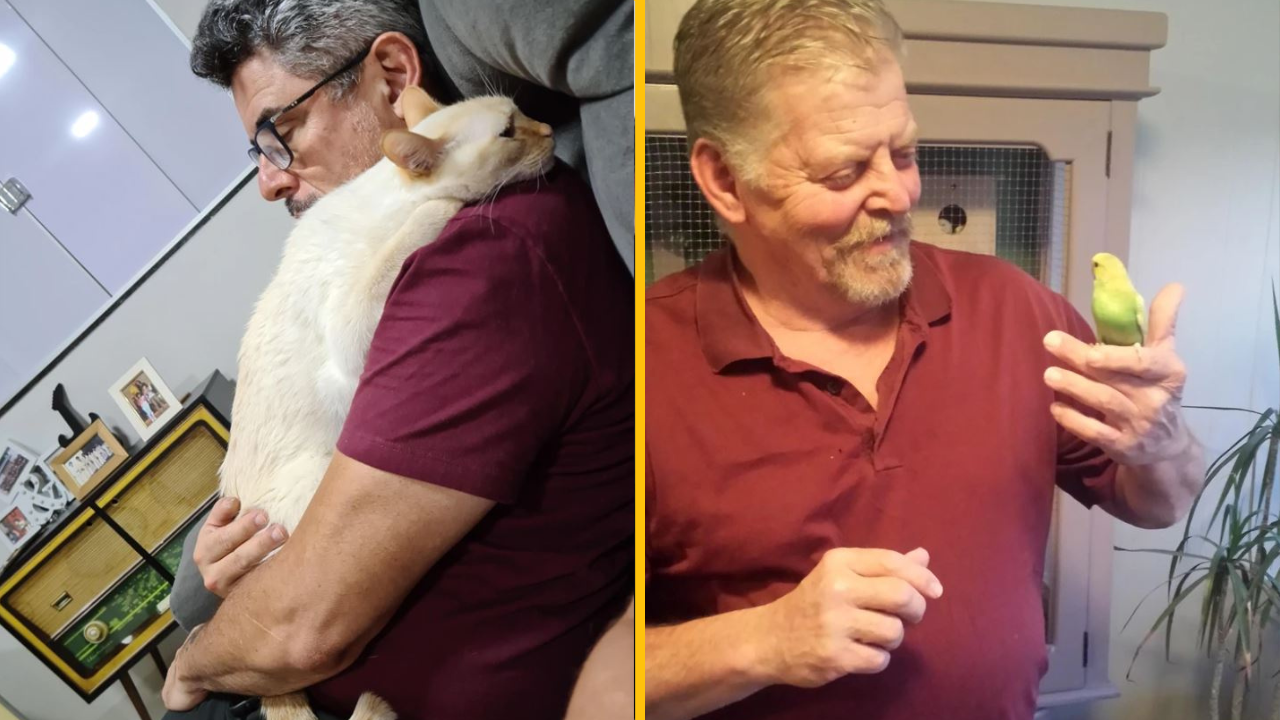 Oteckovia, ktorí povedali „nie“ domácim miláčikom, ale nakoniec sa do nich zamilovali