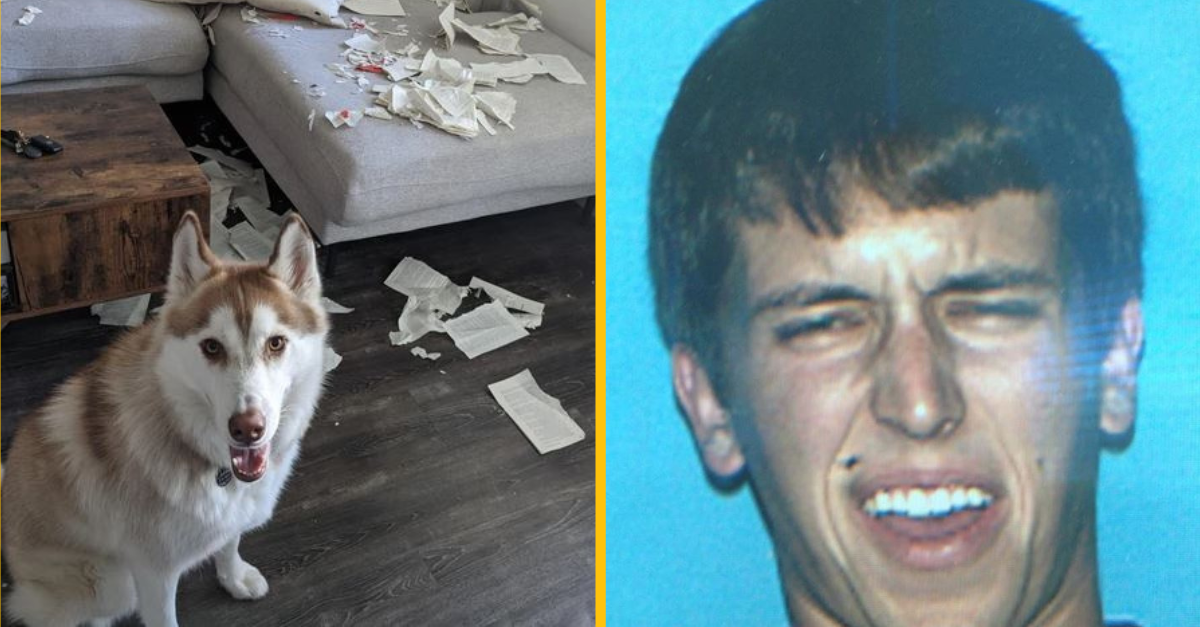 Fotografie od ľudí, ktorým sa v daný deň minulo šťastie