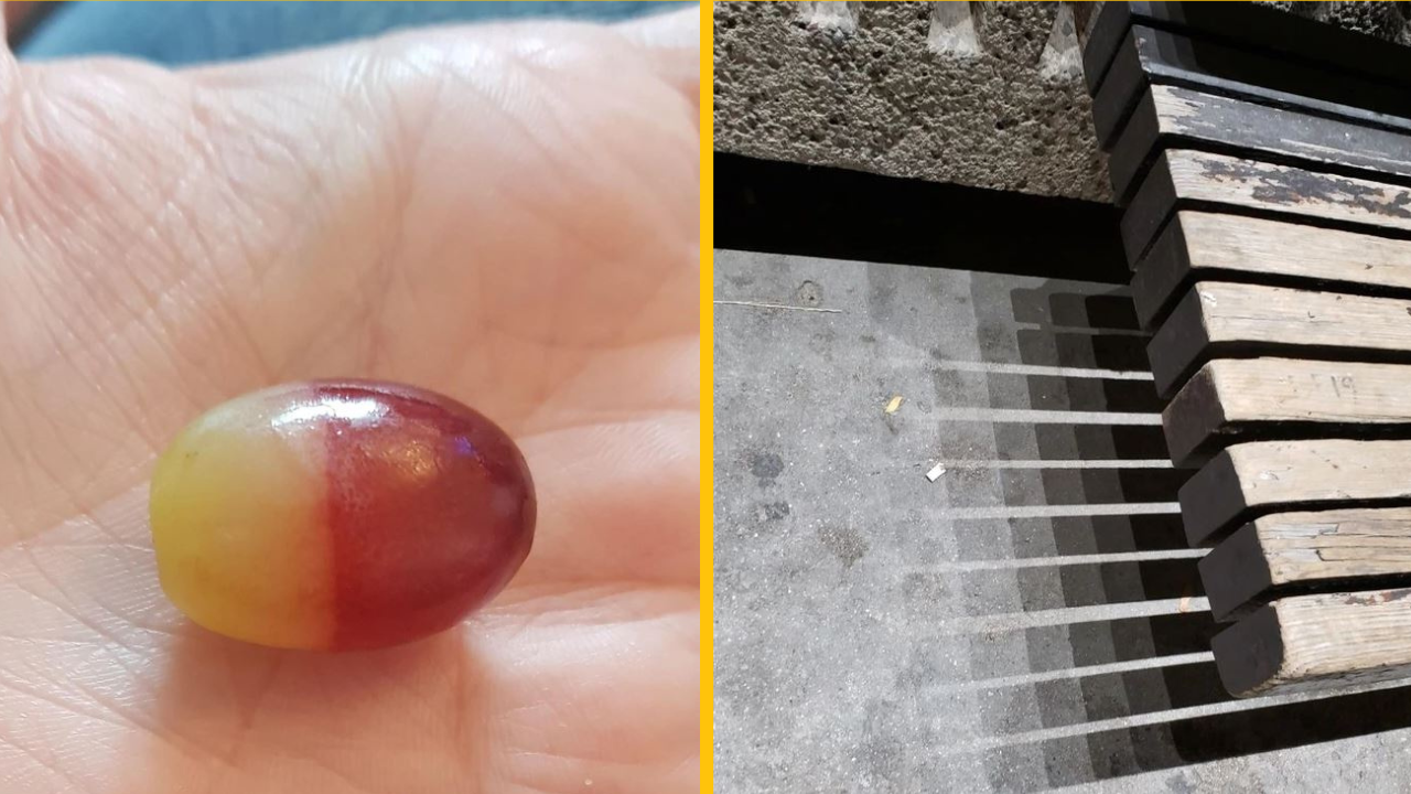 Fotografie bizarných momentov, ktorým by sme nikdy neverili, keby neboli zachytené na fotografii