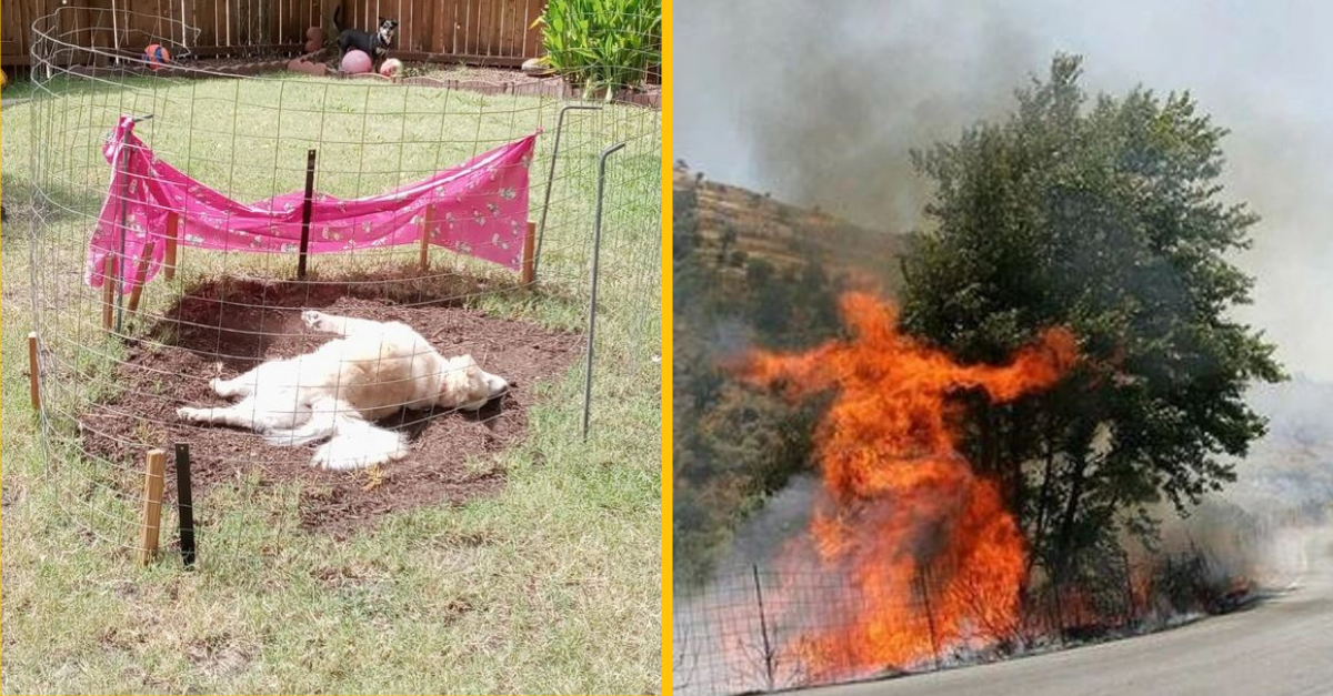 Fotografie, na ktorých ľudia odhalili niečo, čo trochu otriaslo ich svetom