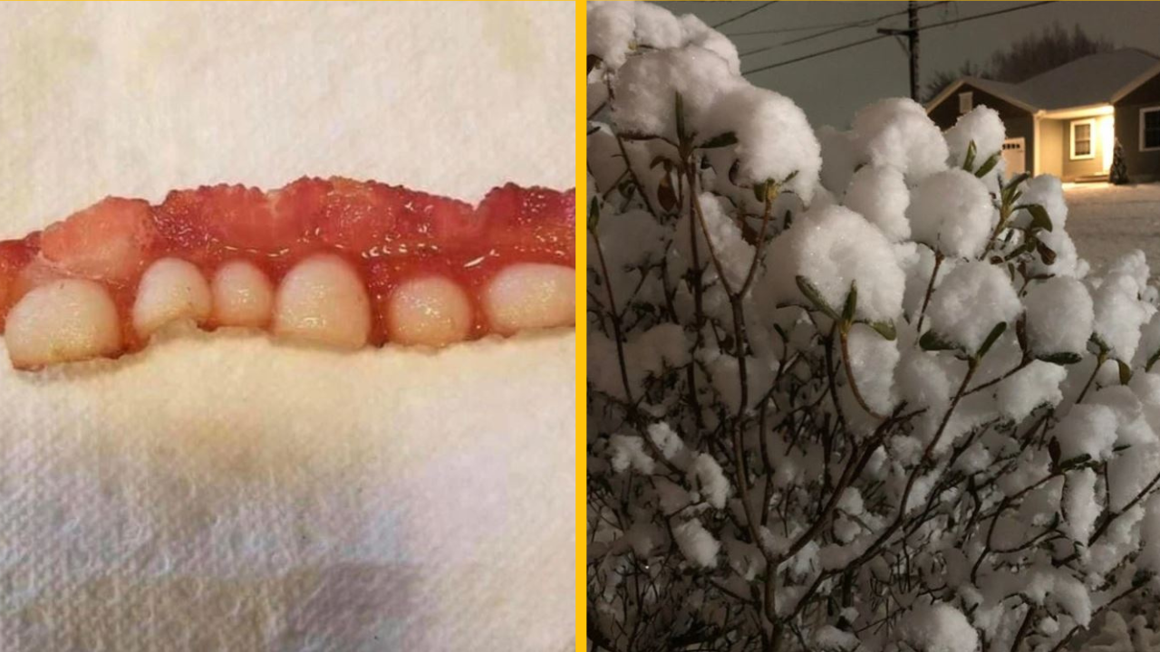 Fotografie, ktoré vás úplne ohromia, kým sa nepozriete trochu bližšie