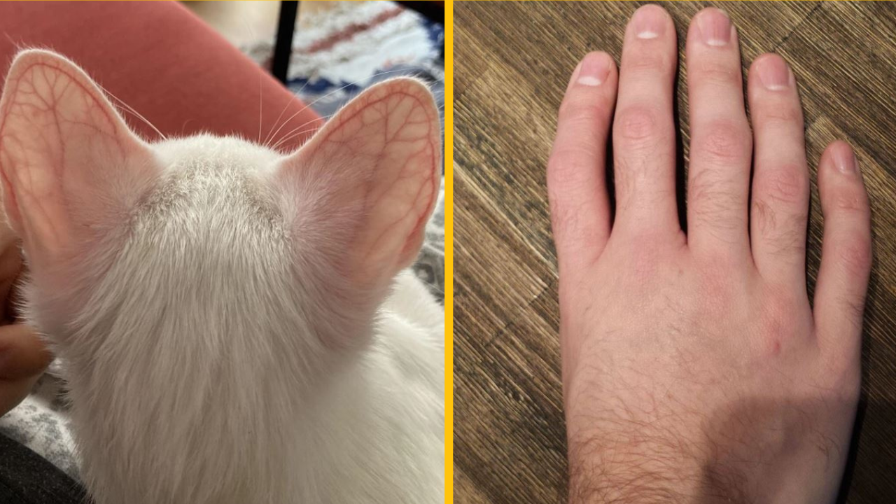 Fotografie, na ktorých nám príroda dokázala, že jedinečnosť je jej druhým menom