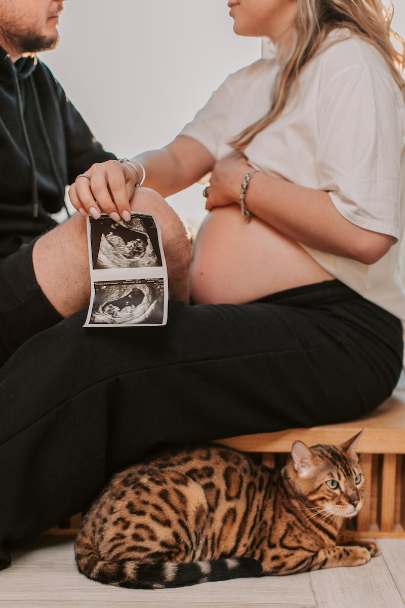 Pregnant Woman Holding Sonogram Photos