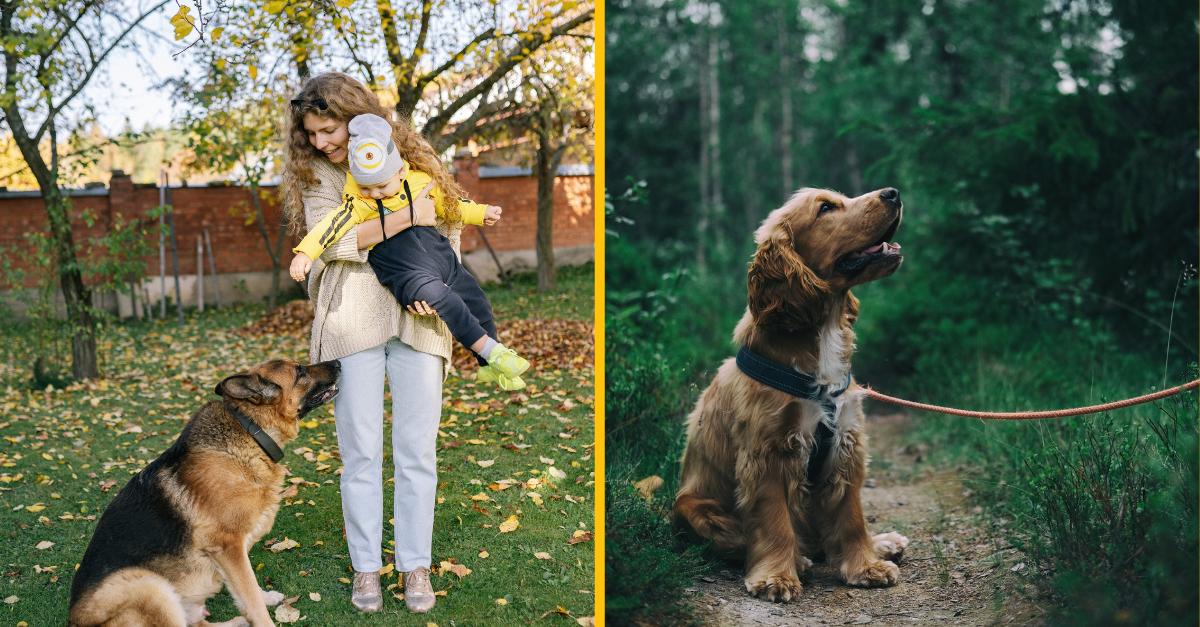 Žena tvrdí že nekontrolovateľné deti by mali chodiť von na vôdzke ako psy